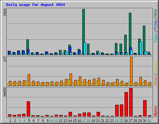 Daily usage for August 2024