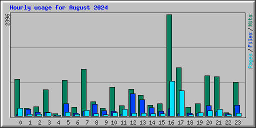 Hourly usage for August 2024